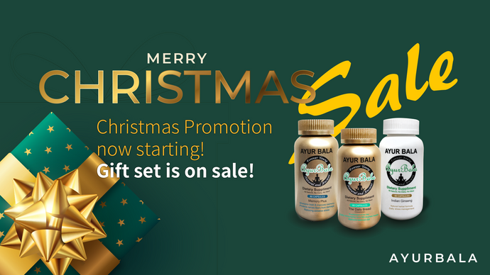 Christmas Promotion is now starting!